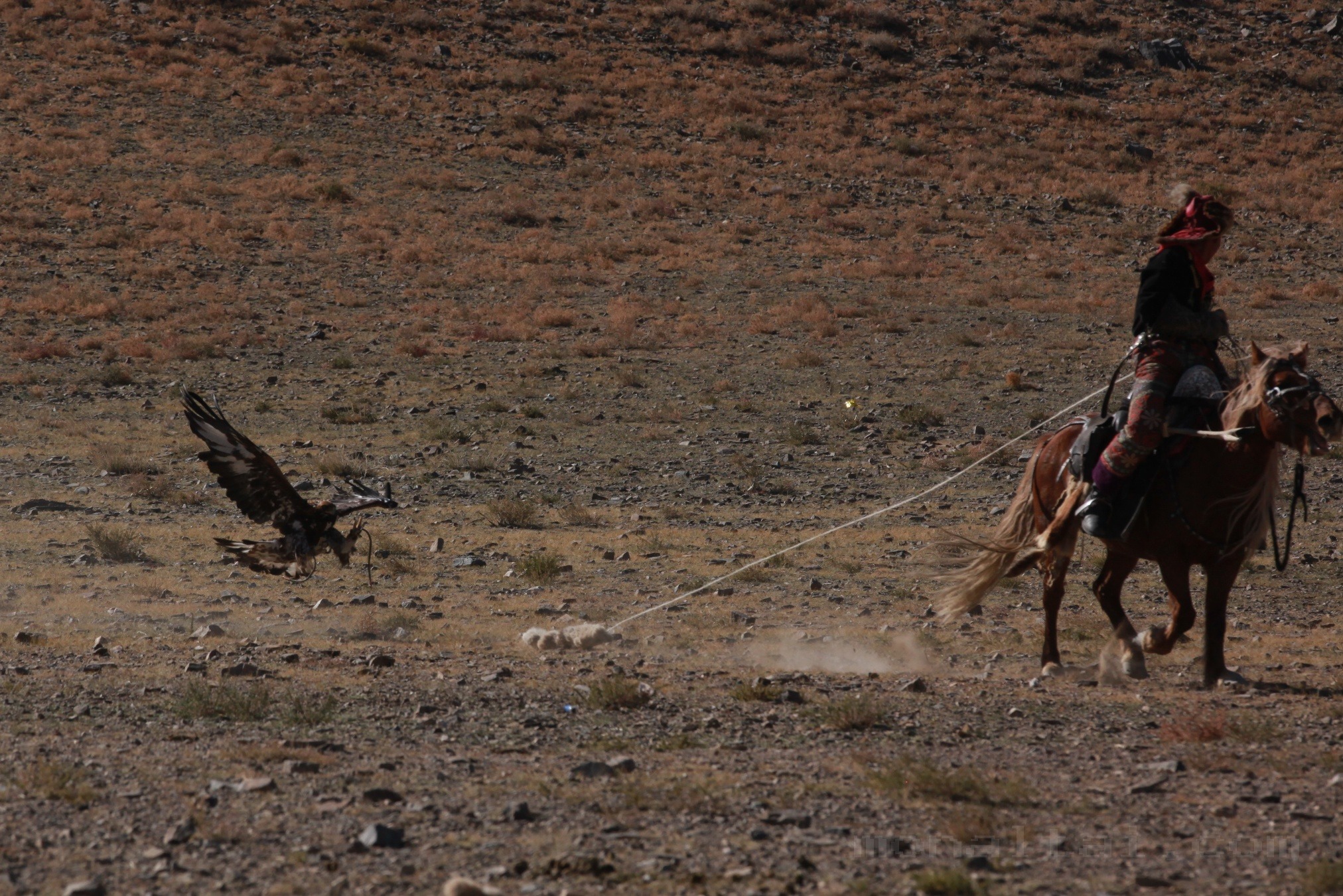 Golden Eagle Festival & Cultural Events photo 3