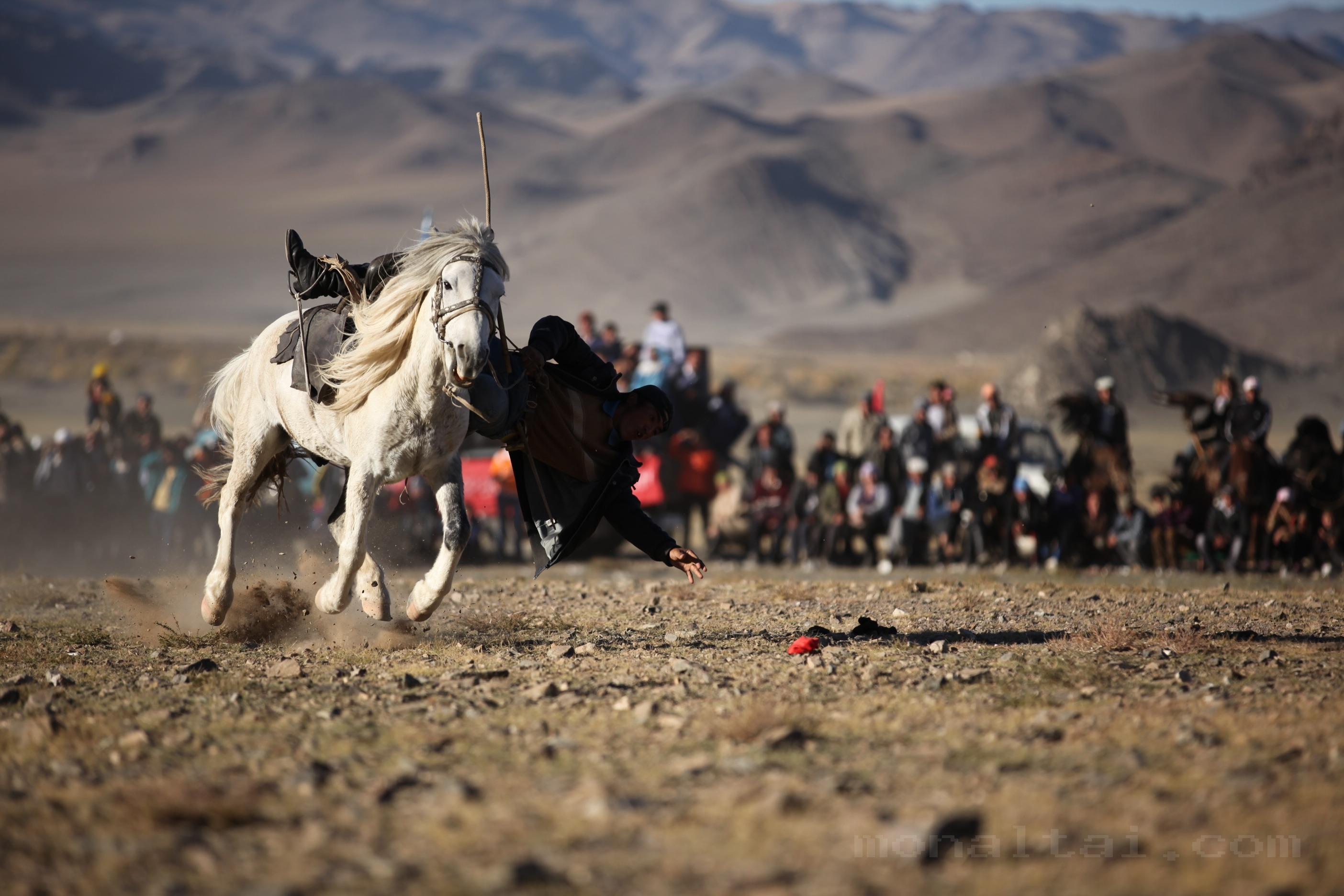 Golden Eagle Festival & Cultural Events photo 2