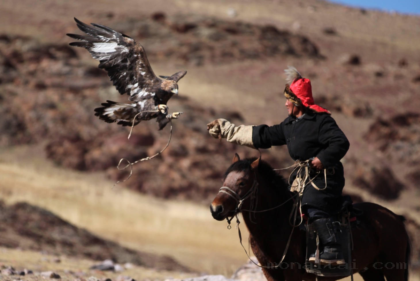 Golden Eagle Festival & Cultural Events photo 5